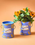 Complimentary Color Grow Kits