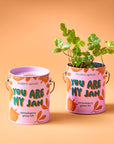 Complimentary Color Grow Kits