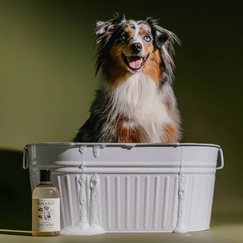 Sweet Marjoram &amp; Rosalina Dog Wash