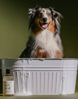 Sweet Marjoram & Rosalina Dog Wash