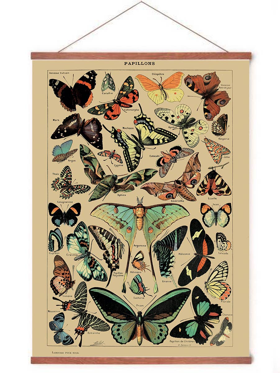 Esque - Poster in posterhanger - Vlinders Butterfly