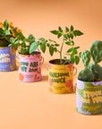 Complimentary Color Grow Kits