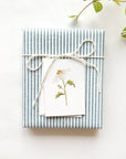 Daisy mini enclosure notecard