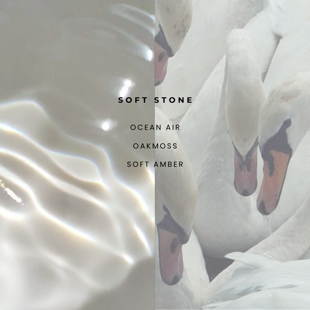 LOTION - 8oz Triple Thick Nourishing Lotion