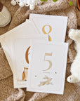 Baby milestone cards