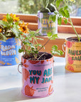 Complimentary Color Grow Kits