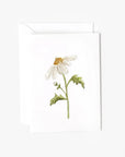 Daisy mini enclosure notecard