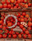 BROWN GINGHAM TOMATO CHARM CLAW