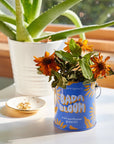 Complimentary Color Grow Kits