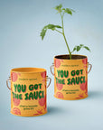Complimentary Color Grow Kits