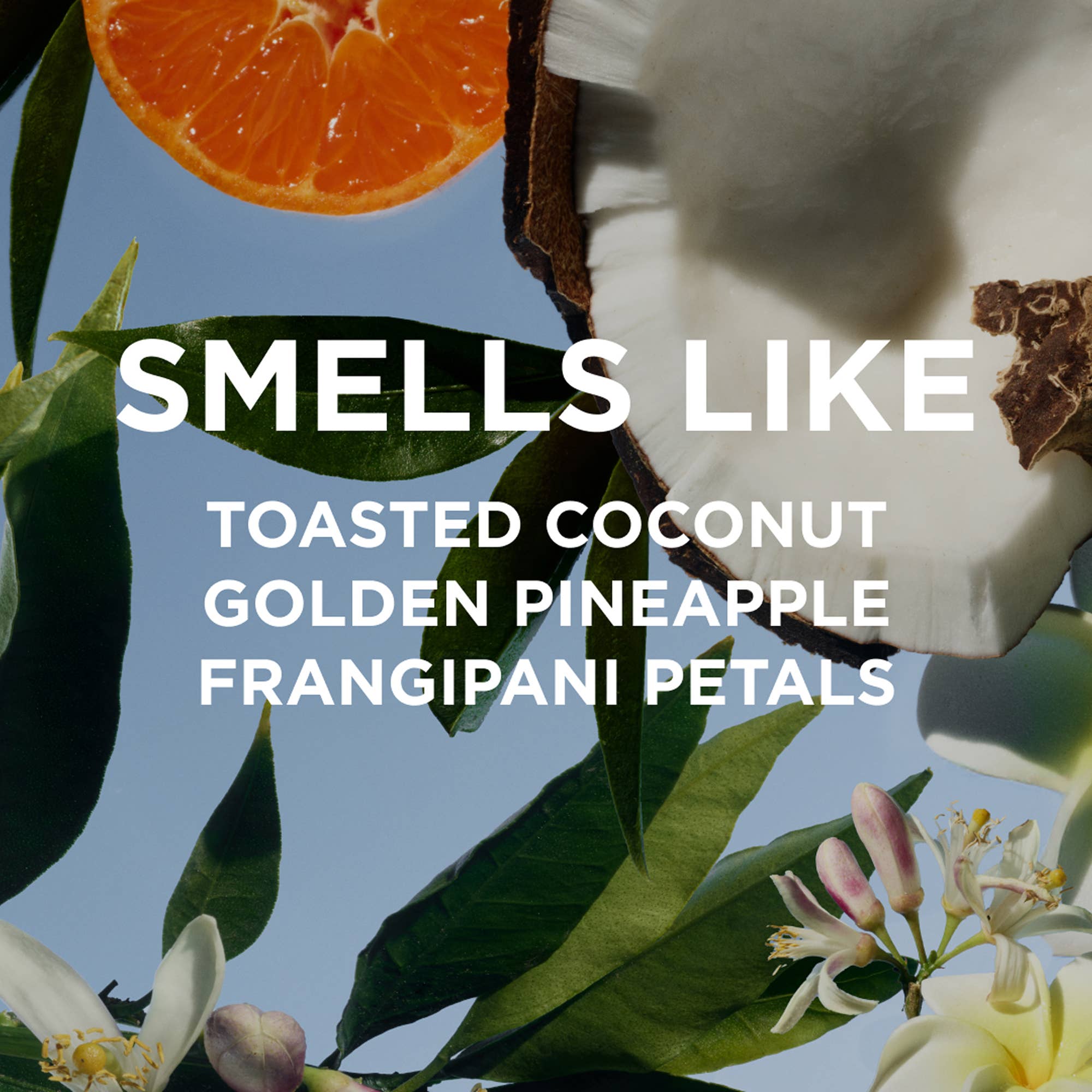 MISSY Perfume Oil with coconut